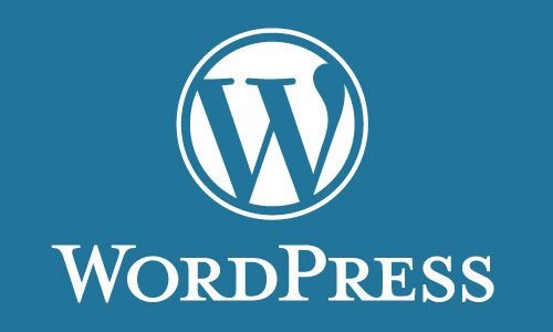 Come installare un tema scaricato su WordPress?