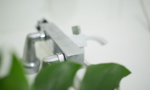 Bagno Ecologico: come ridurre il consumo d’acqua senza rinunce